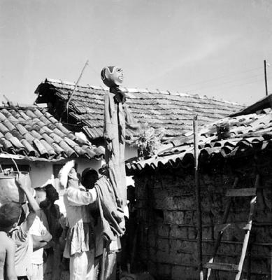 Bumba Meu Boi, festa popular
