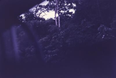 Rodovia Belém-Brasília (BR-010) vista da janela do ônibus. Trajeto entre Paragominas e Belém