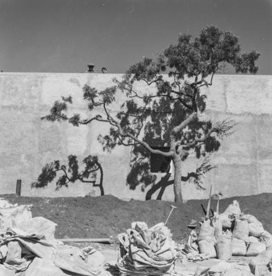 Universidade de Brasília