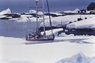 Aventuras de Igor na Antártida