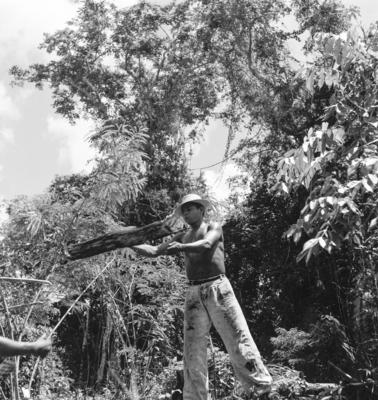 Série "Estrada de Ferro Tocantins"