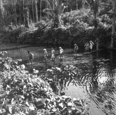 Expedição do SPI que estabeleceu os primeiros contatos com o povo Asuriní do Tocantins