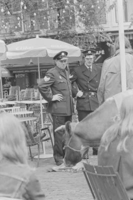 A vaca invade Amsterdã