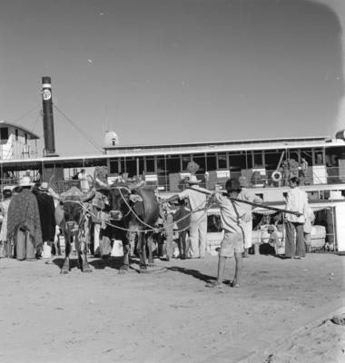 Vapor no Rio São Francisco