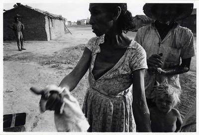 Série Guimarães Rosa - Joana D'arca