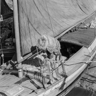 Homens descarregando juta