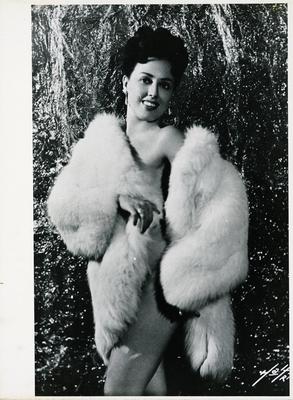 Virgínia Lane (reprodução)