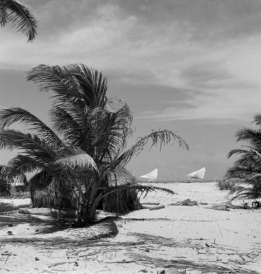 Jangadas e jangadeiros