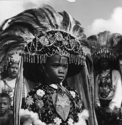 Bumba meu boi, festa popular