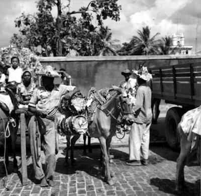 Lavagem de Nosso Senhor do Bonfim