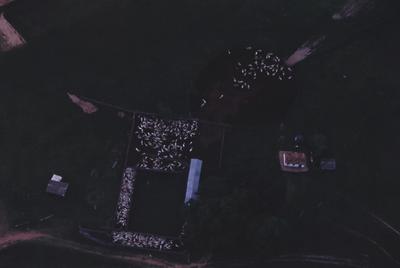 Vista aérea para gado - rebanho