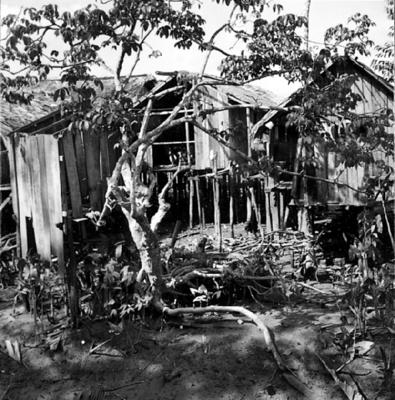 Vila da Barca, palafitas flutuantes