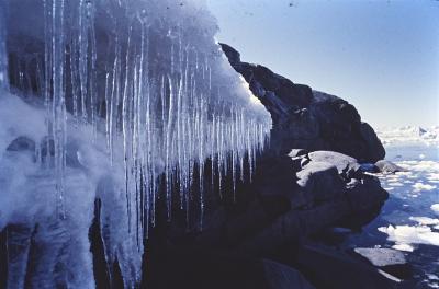 Aventuras de Igor na Antártida