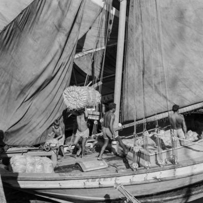 Homens descarregando juta