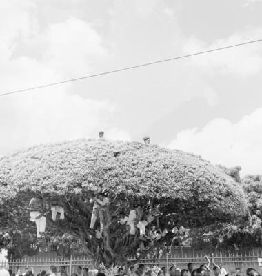 Procissão do Círio de Nazaré