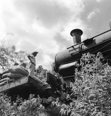 Série "Estrada de Ferro Tocantins"