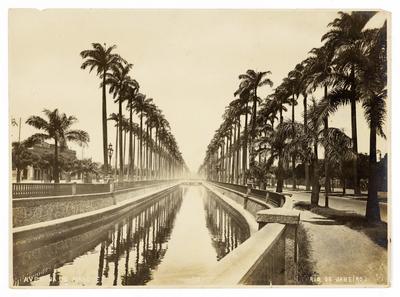 Avenida e Canal do Mangue