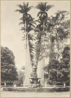 Aleia Barbosa Rodrigues