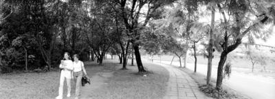 Cidade Universitária