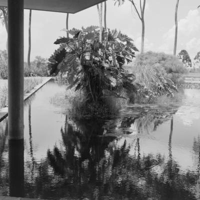 Residência de Olivo Gomes, projeto dos arquitetos Rino Levi, Roberto Cerqueira César e Burle Marx