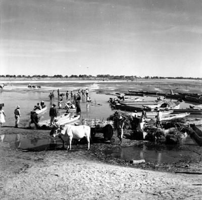 Cena do Rio São Francisco