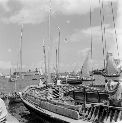 Procissão de Nosso Senhor dos Navegantes