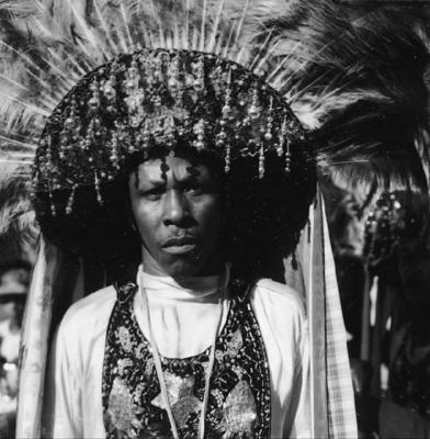 Bumba meu boi, festa popular