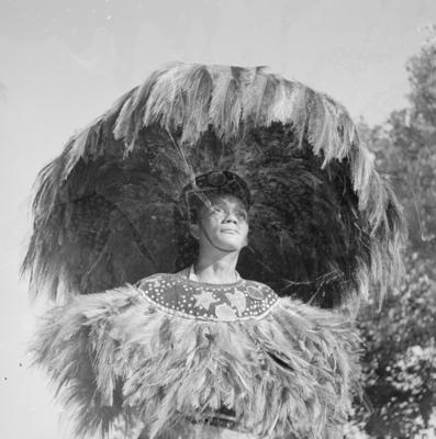 Bumba meu boi, festa popular