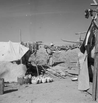 Acampamento às margens do Rio São Francisco