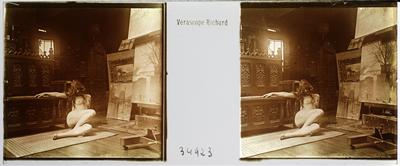 Estereoscopia erótica