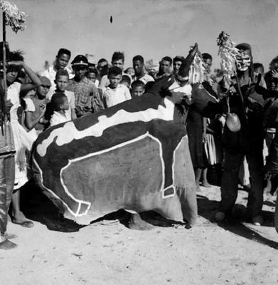 Bumba Meu Boi, festa popular