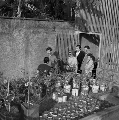 Madeleine Archer (loura de óculos) e Renato Archer ( paletó escuro), no Sítio Burle Marx, na ocasião da visita de Pablo Neruda