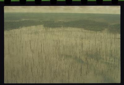 Vista aérea de Manaus