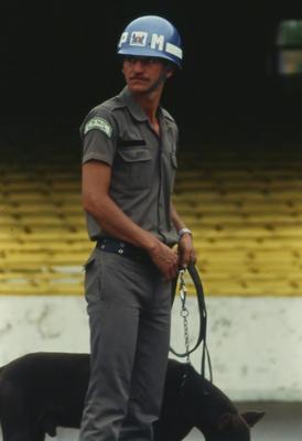 Jogo São Paulo x Botafogo