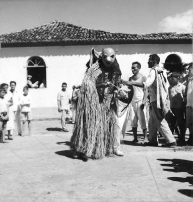 Bumba meu boi, festa popular