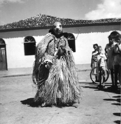 Bumba meu boi, festa popular