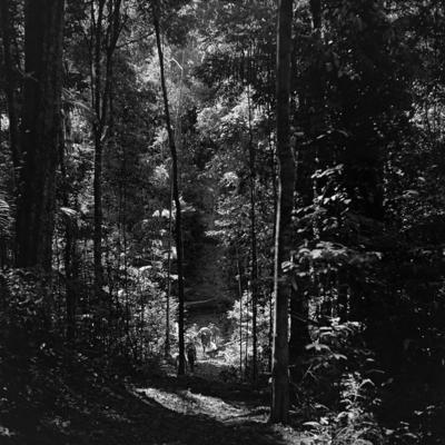 Expedição do SPI que estabeleceu os primeiros contatos com o povo Asuriní do Tocantins