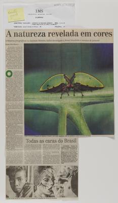 A natureza revelada em cores.
Mostras fotográficas no Instituto Moreira Salles investigam a fauna brasileira e retratos de pessoas.
