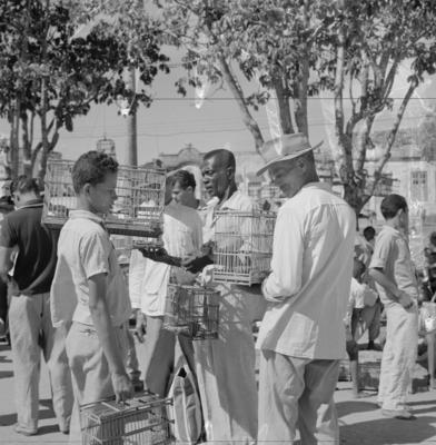 Feira dos Passarinhos