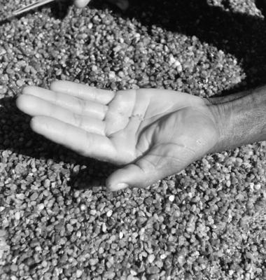 Garimpo de diamantes na Boca do Tauiri