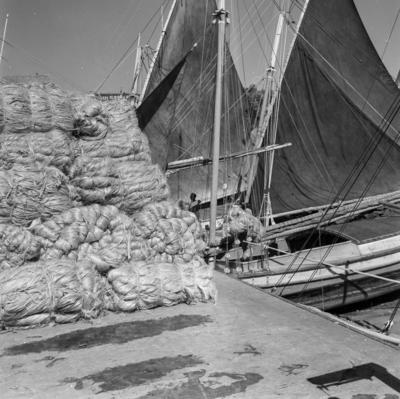 Homens descarregando juta