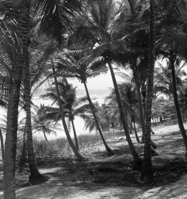 Jangadas e jangadeiros