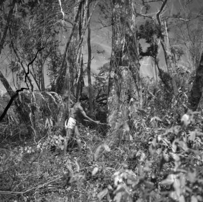 Indígena do povo Kayapó