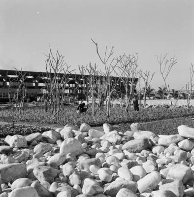 Museu de Arte Moderna - MAM