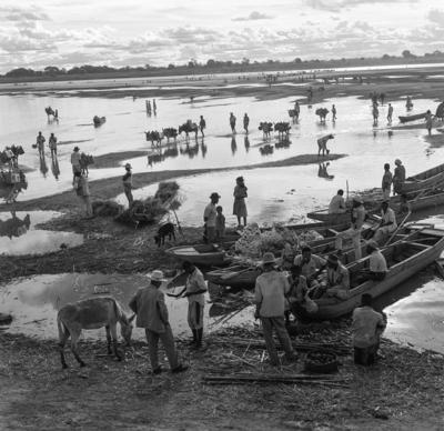 Cena do Rio São Francisco