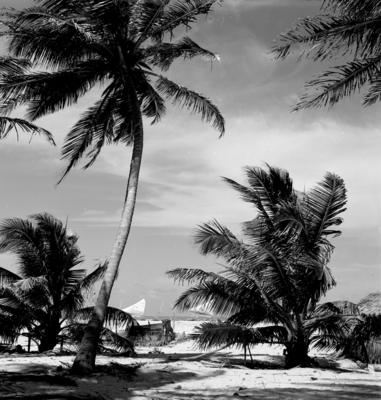 Jangadas e jangadeiros