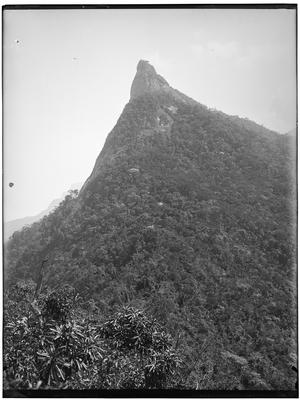 Morro do Corcovado a partir da Floresta da Tijuca