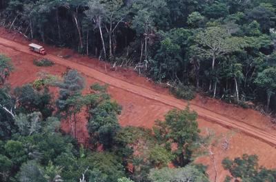 Vista aérea de estrada em meio à floresta