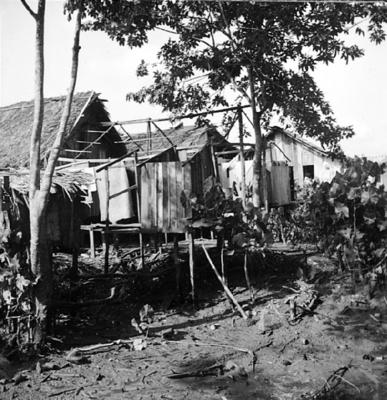 Vila da Barca, palafitas flutuantes