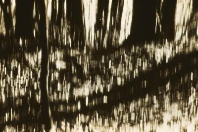 Exercício fotográfico com a câmera em movimento